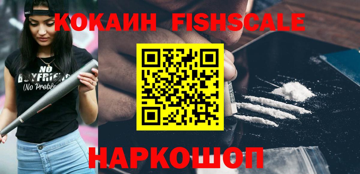 COCAIN Fish Scale  Вход с VPN  КОКАИН  Ярославль 