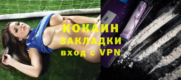прущие грибы Кодинск