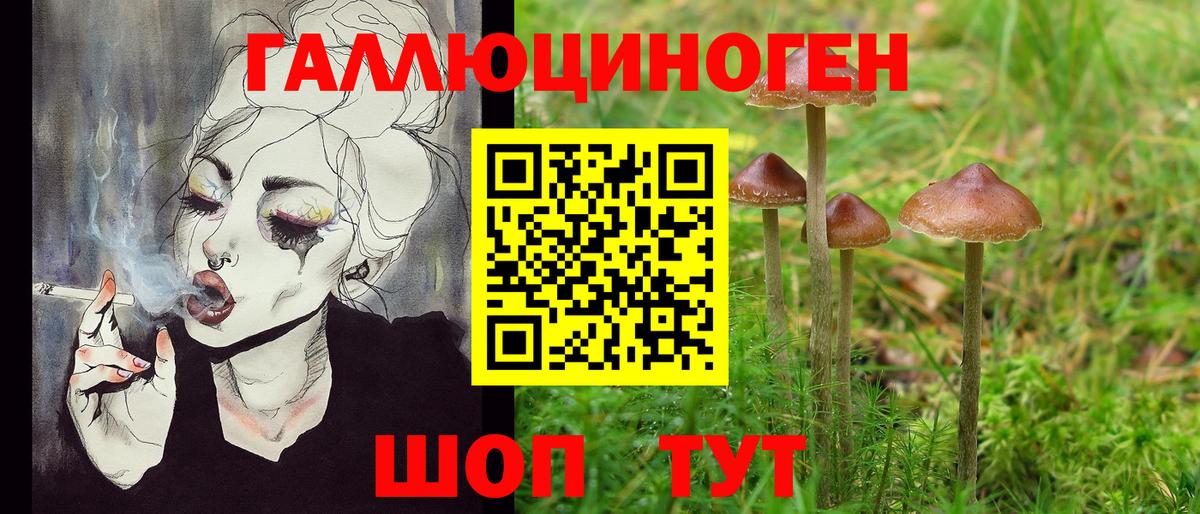 Ярославль  Галлюциногенные грибы мицелий  Вход с VPN 