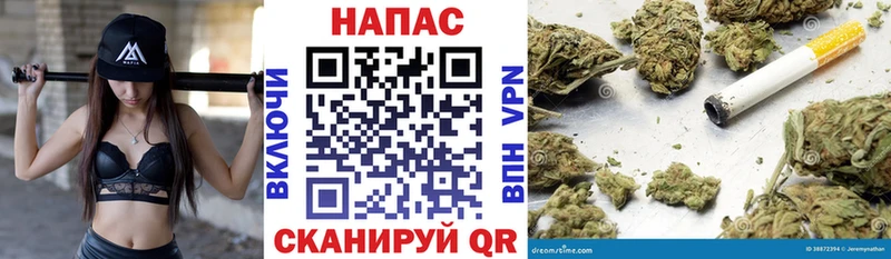 Бошки Шишки семена  наркошоп  Ярославль 